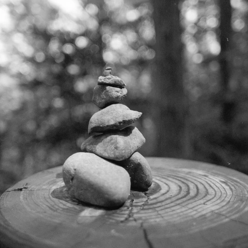 Stone cairn in the forest
